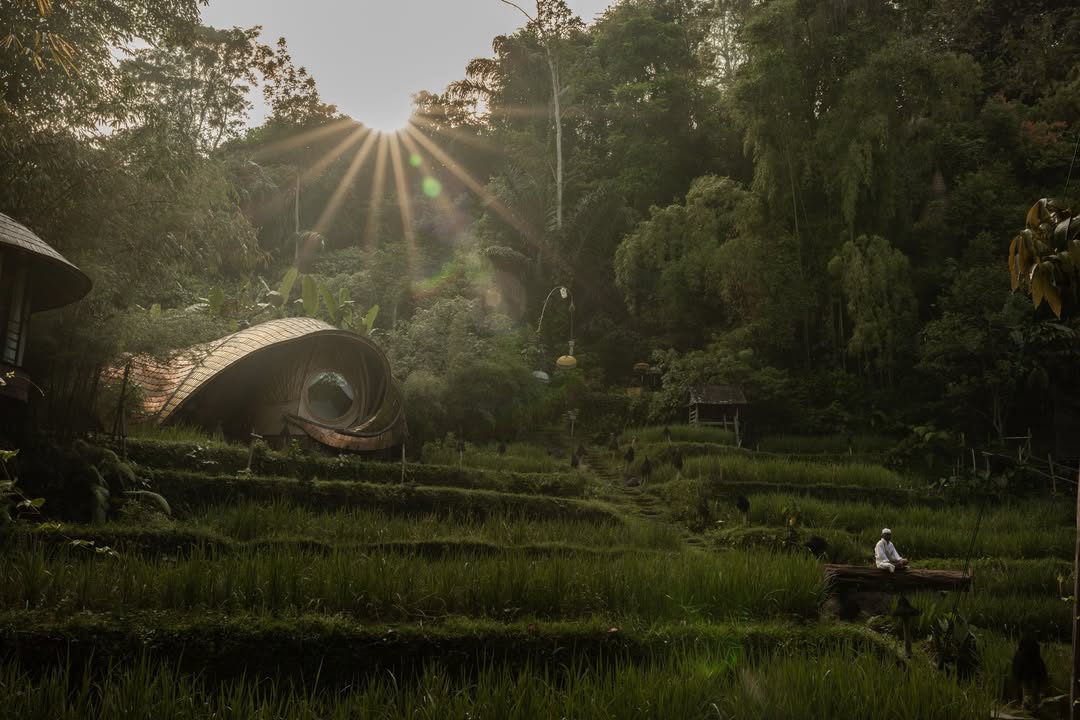 anonimostory.com_Instagram_bambuindah_3749020371233639415_781135037