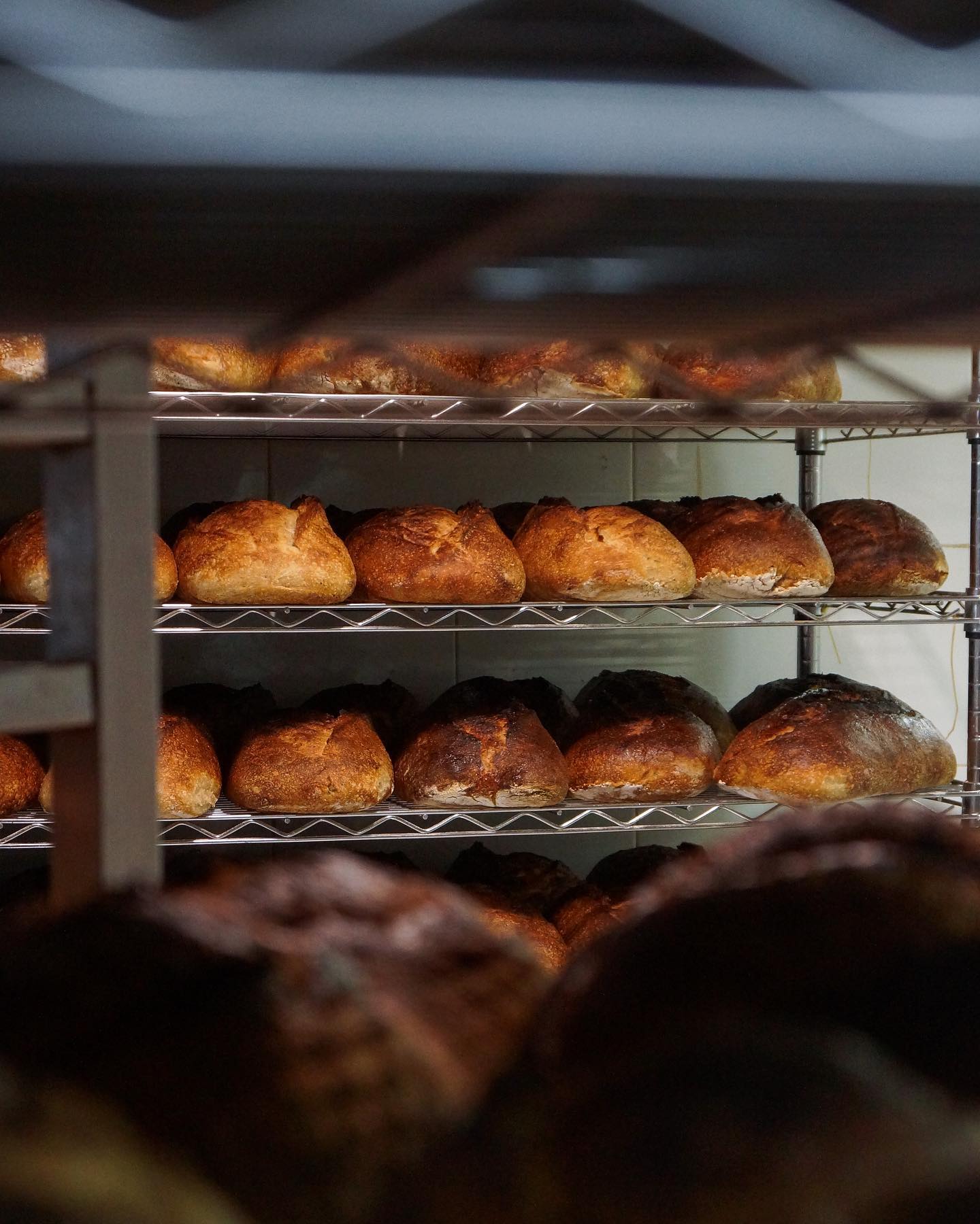 anonimostory.com_Instagram_braud.artisanbakery_3109557859487812407_1574318214