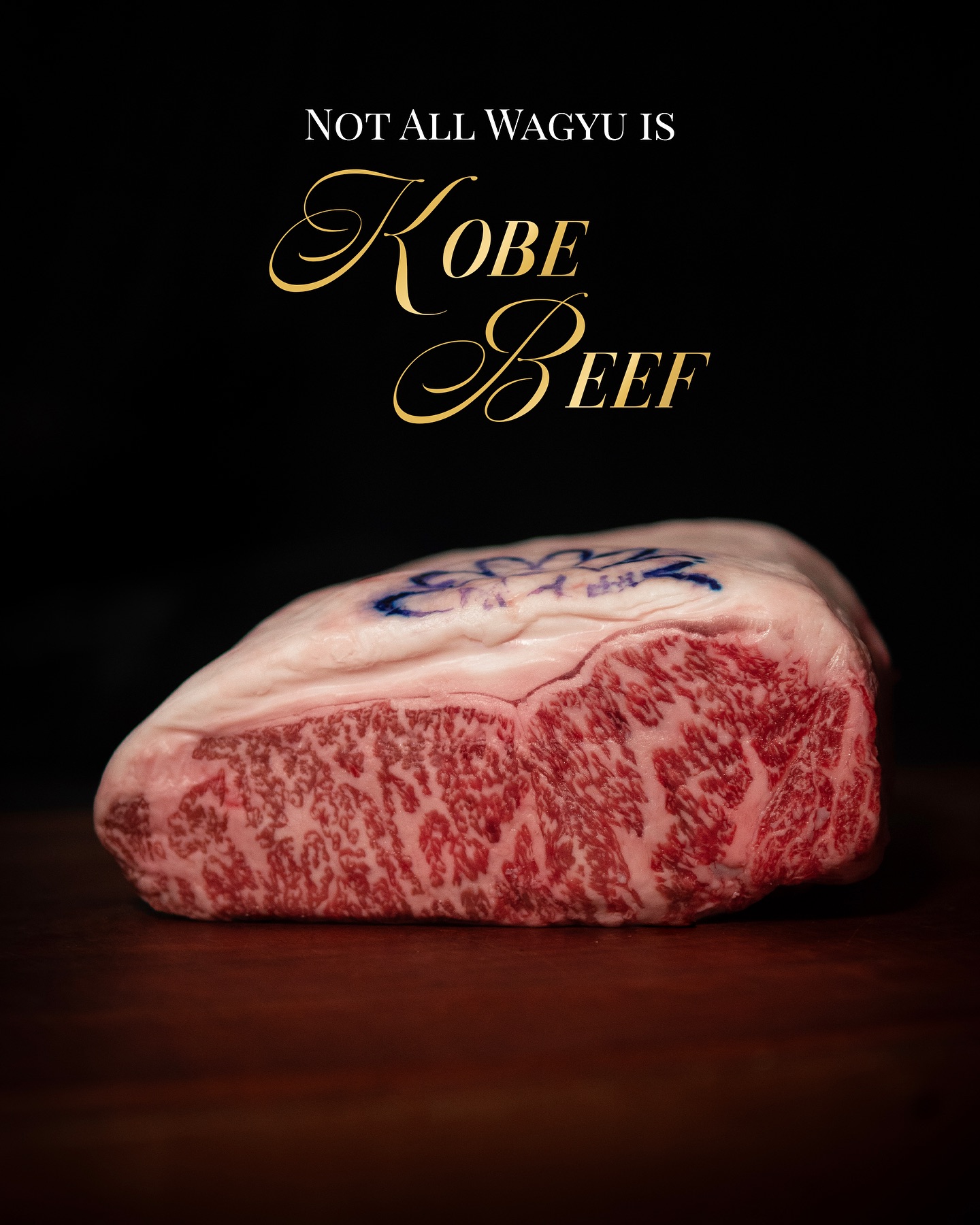 anonimostory.com_Instagram_meatguysteakhouse_3734465361866805074_54017906354